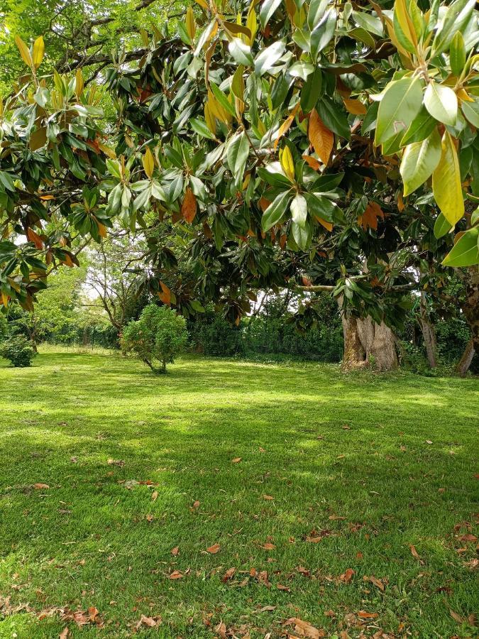 Appartamento Bellevue Lamagistère Esterno foto